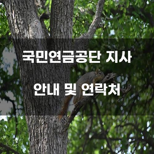 국민연금공단 지사 안내 및 연락처