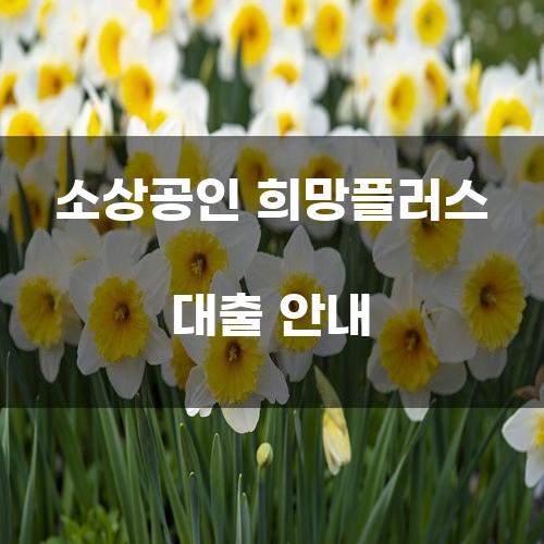 소상공인 희망플러스 대출 안내