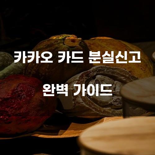 카카오 카드 분실신고 완벽 가이드