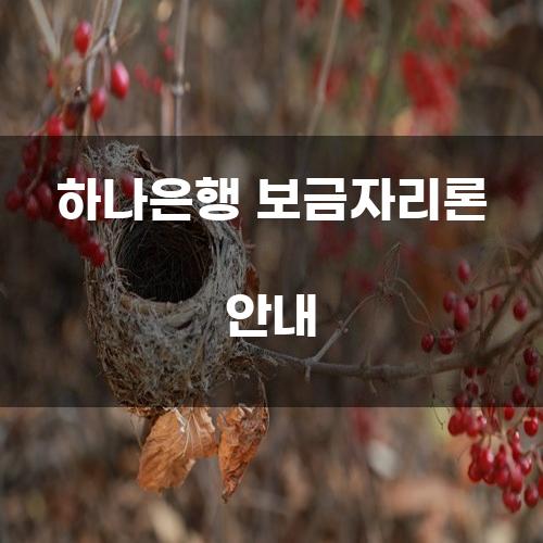 하나은행 보금자리론 안내