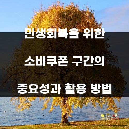 민생회복을 위한 소비쿠폰 구간의 중요성과 활용 방법