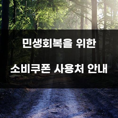 민생회복을 위한 소비쿠폰 사용처 안내