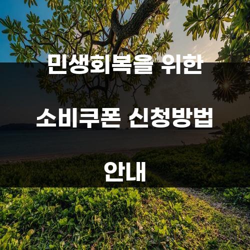 민생회복을 위한 소비쿠폰 신청방법 안내