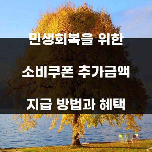 민생회복을 위한 소비쿠폰 추가금액 지급 방법과 혜택
