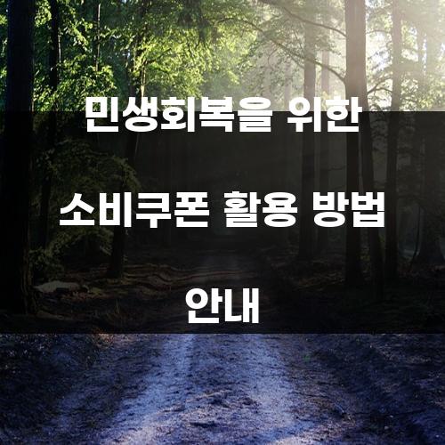 민생회복을 위한 소비쿠폰 활용 방법 안내