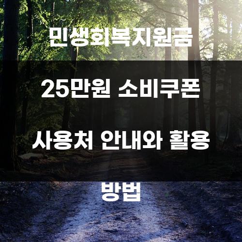 민생회복지원금 25만원 소비쿠폰 사용처 안내와 활용 방법