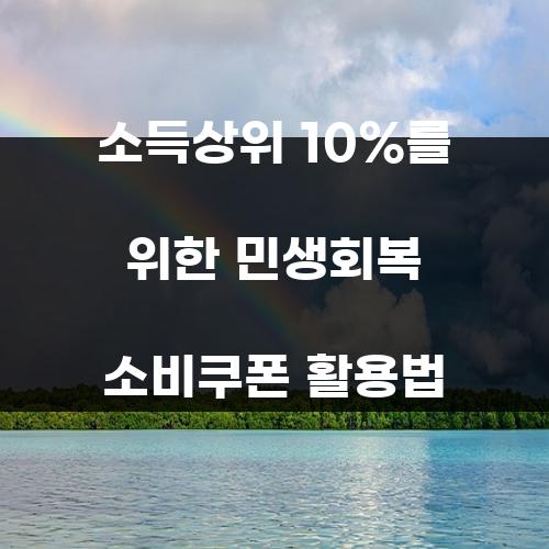 소득상위 10%를 위한 민생회복 소비쿠폰 활용법