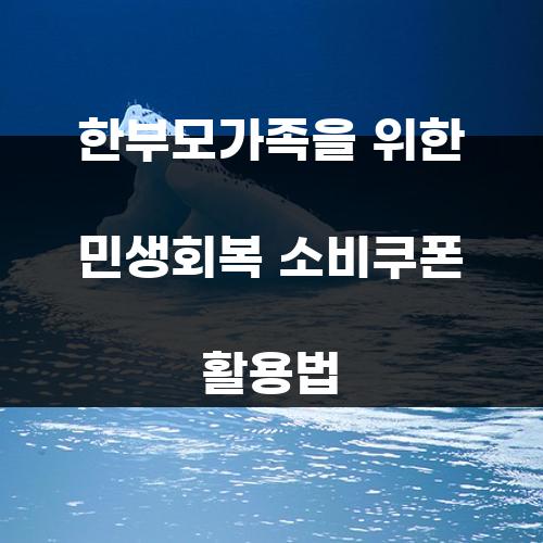 한부모가족을 위한 민생회복 소비쿠폰 활용법