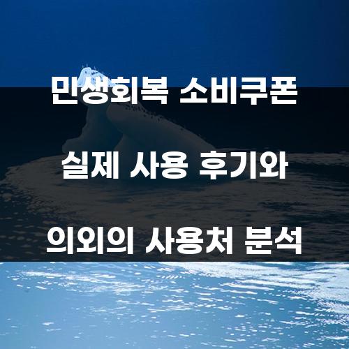 민생회복 소비쿠폰 실제 사용 후기와 의외의 사용처 분석
