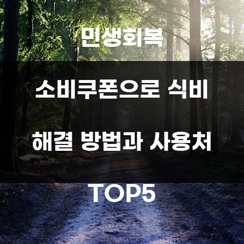 민생회복 소비쿠폰으로 식비 해결 방법과 사용처 TOP5