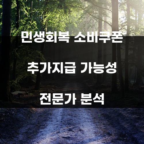 민생회복 소비쿠폰 추가지급 가능성 전문가 분석