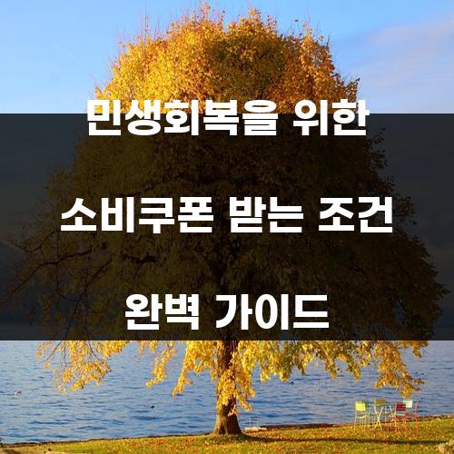 민생회복을 위한 소비쿠폰 받는 조건 완벽 가이드