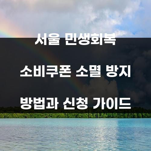 서울 민생회복 소비쿠폰 소멸 방지 방법과 신청 가이드
